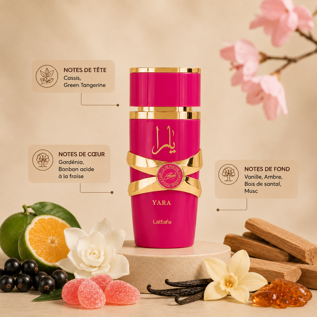 Yara Candy